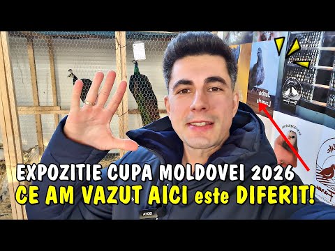 Viața la țară - Prepelițe cu fața de zombie + alte păsări exotice la Expoziția Cupa Moldovei 2026