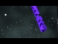 Its Trix Intro SHOUTOUT To Its Trix