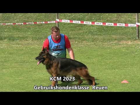 KCM 2023 Gebruikshondenklasse Reuen