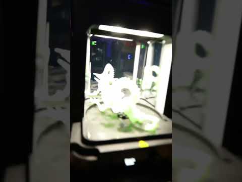 Alien - Xenomorph 😱🔥 Model By Printed Obsession