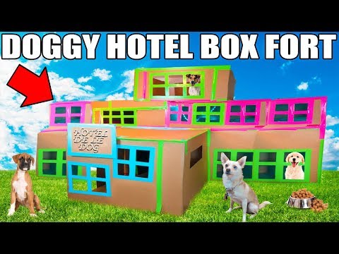 3 STORY DOG BOX FORT HOTEL!! 📦🐶 Boxfort hotel de le dog!