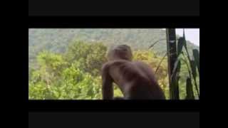 Se você me ama, Melody Gardot