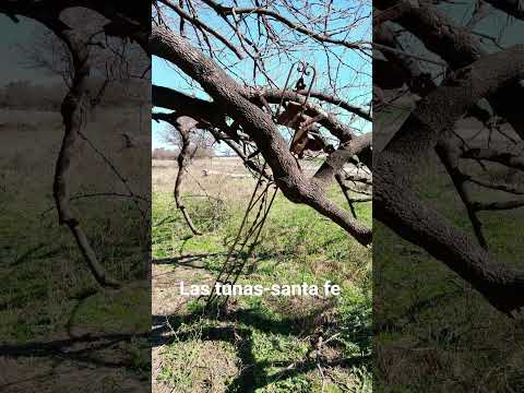 cementerio ⚰️ abandonado Las tunas-santa fe