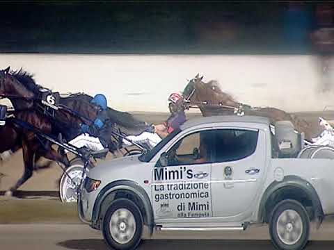 Trotto 30/06/2019 - 5ª corsa