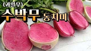 (과일무)속이 빨간 반전매력! 수박무로 시원한 동치미 만들기!