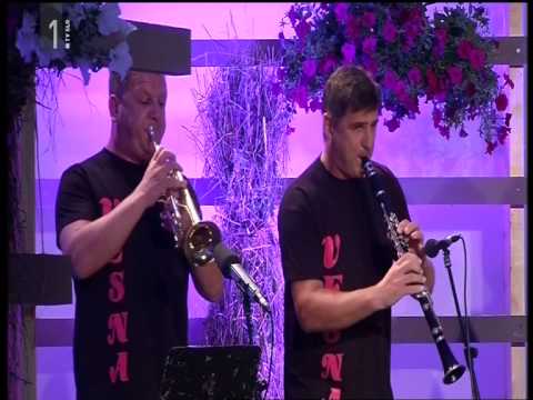 Ansambel Vesna-V Parku