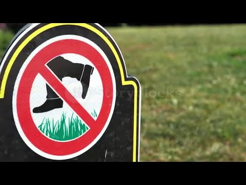 videoblocks-prohibition-sign-do-not-walk-on-the-grass-do-not-step-on-grass-sign-do-not-walk-on-lawns