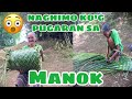 VLOG 29 NAGHIMO KO G PUGARAN SA MANOK Lola Doleng S Tv