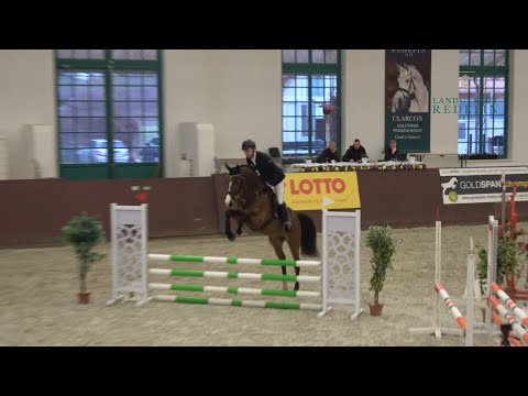 Zircon Blue v. Zirocco Blue - Corrado I, Holsteiner, Hengst, gekört * 2019