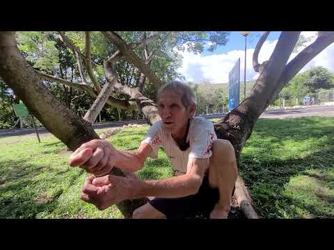 THE LEGENDARY DRY LEATHER