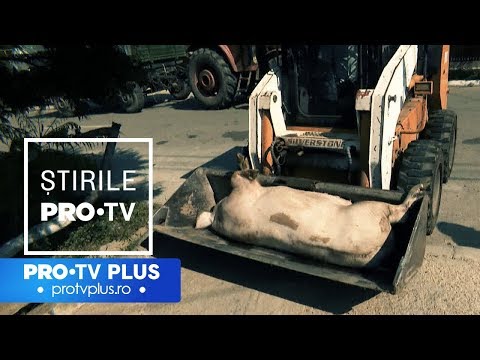 erecție pierdută după prima dată 21 de ani fără erecție