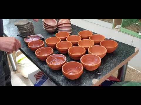 Breeding Norwich canarys