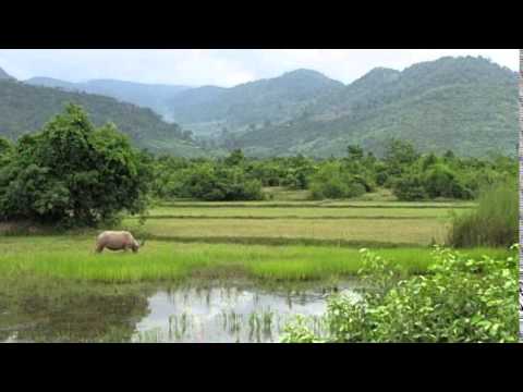 pen rorn-veal srey sronos- watch movies online-watch movies online free-watch movies online for free