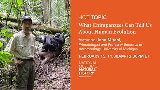 HOT (Human Origins Today) Topic: What Chimpanzees Can Tell Us About Human Evolution