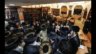רבי אלימלך בידרמן בצפת, ו' אב תשע''ז - Rabbi Elimelech Biderman