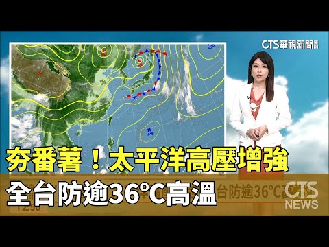 「夯」番薯！　太平洋高壓增強.全台防逾36℃高溫
