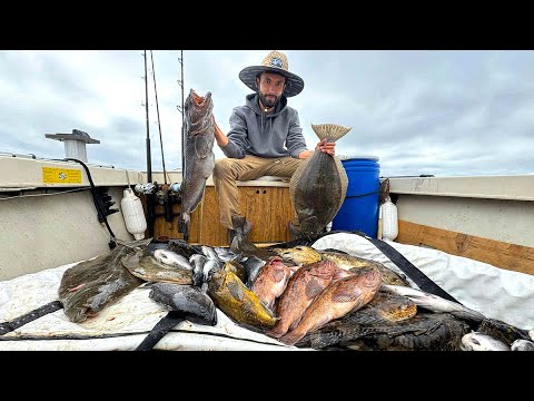 Limits on Limits!! Halibut - CDFW Stop - Catch and Cook