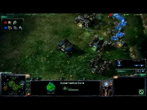 WhiteRa vs Bradok PvT Part 1