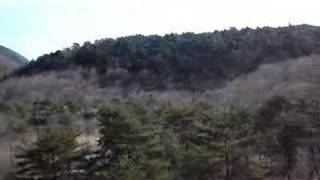 preview picture of video 'Entre Sai-ko et Shoji-ko - Aokigahara 3'