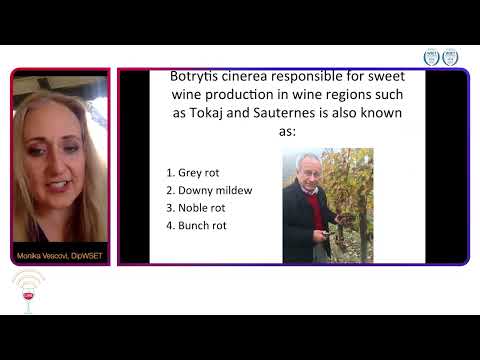 Napa Valley Wine Academy - Wine Trivia Fungus and the Vineyard - Monika Bielka-Vescovi  #wsetlevel3