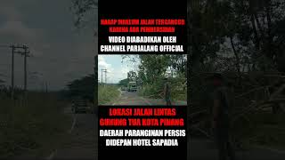 Download lagu PEMBERSIHAN POHON DIJALAN LINTAS GUNUNG TUA KOTA PINANG mp3