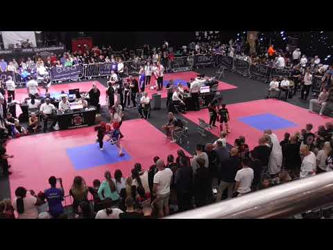 TATAMI WORLDS MATTS 3 4 5 6 PART 4