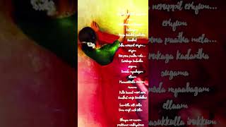 Download lagu Nee pona paatha mela…Sarukaga kadantha sugama Unnoda nyaabagam ellaam 🫂Manasukkulla irukkum ranama🥀🥹 mp3