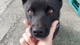 근접 샷 close-up shot