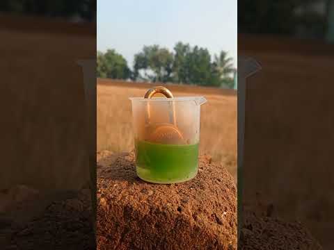 Most dangerous experiment 🧪| Nitric Acid  | #video #viral #Thehackerpro #shorts #science