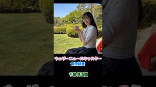 お茶を嗜むお天気お姉さん