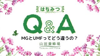 山田養蜂場 マヌカハニー MG 350 +250+ 2本セット
