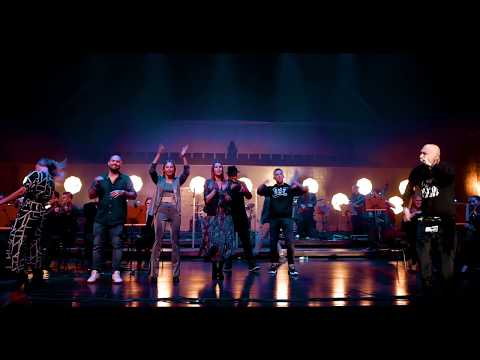 Trasa Koncertowa PAWBEATS ORCHESTRA (2019/20) trailer