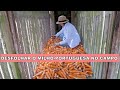 FELIZ COM A QUANTIDADE DE MELÃO VIDA SIMPLES NO CAMPO Vidasimples Simpleliving Vivernocampo