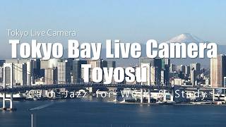 【真夏の東京】静寂の東京ウォーターフロント｜癒しの夜ライブ｜ Tokyo Live Camera Mt.Fuji & Rainbow Bridge