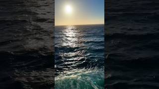 The first cruise sunset is always inspiring. #travel #cruise #solotravel #lovecruise #cruiseship