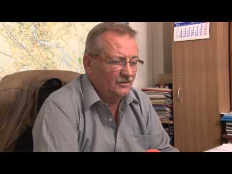 Caini Mondialul Bocsei Lugoj I