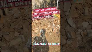 Download lagu Bersih Bersih Kebun, Dapat Gunungπ²#shots mp3 Download lagu Bersih Bersih Kebun, Dapat Gunungπ²#shots mp3