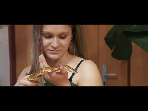 Stvoření světa s Adamem a Evou