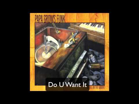 Papa Grows Funk - Do U Want It