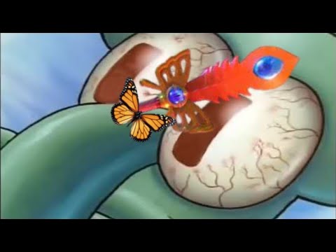 Morpho Knight in kirby and the forgotten land be like