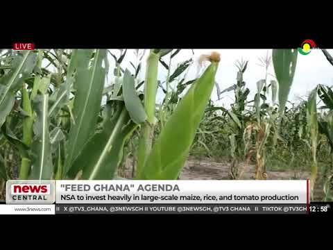 LIVE: News Central || 08-07-2025