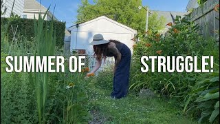 A Very Cursed Vlog | Houseplants, Garden Tour, Raising Monarchs