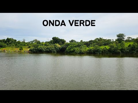 Onda Verde SP - Passeio da Rota 408 pela cidade de Onda Verde - 11° Temp - Ep 57