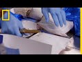 Narcotics Hidden in Coffee Bags | To Catch a Smuggler
