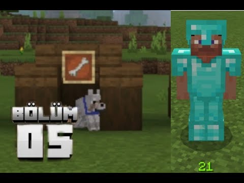 ELMAS SET VE KÖPEK KULÜBESİ / minecraft bölüm 5