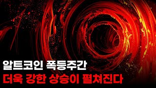 비트코인 알트코인 폭등주간. 캣인어독스월드, 히포크랏, 아이오타.