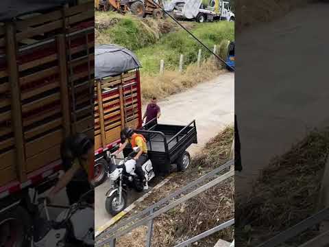 Feria Equina Octubre de 2024 en Predio de Calle 5 con Carrera 9