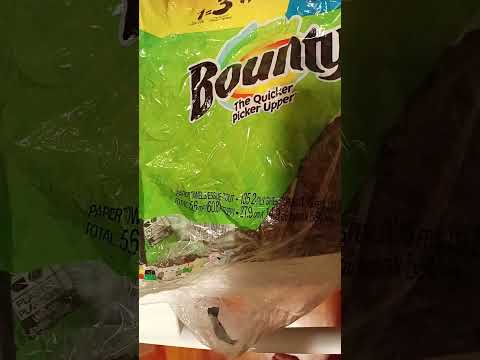 Bounty Towels - I was a regular user of bounty paper towels until yesterday.... - Image 4