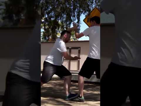 🌀 Unlock the Power of Baguazhang's Zhuan Zhang: The Piercing Palm Technique 🌀