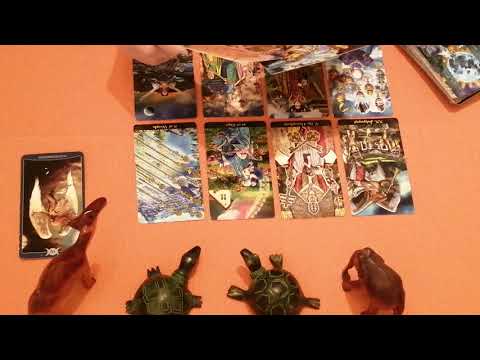 Transformation Weekly reading for the 3rd week of August